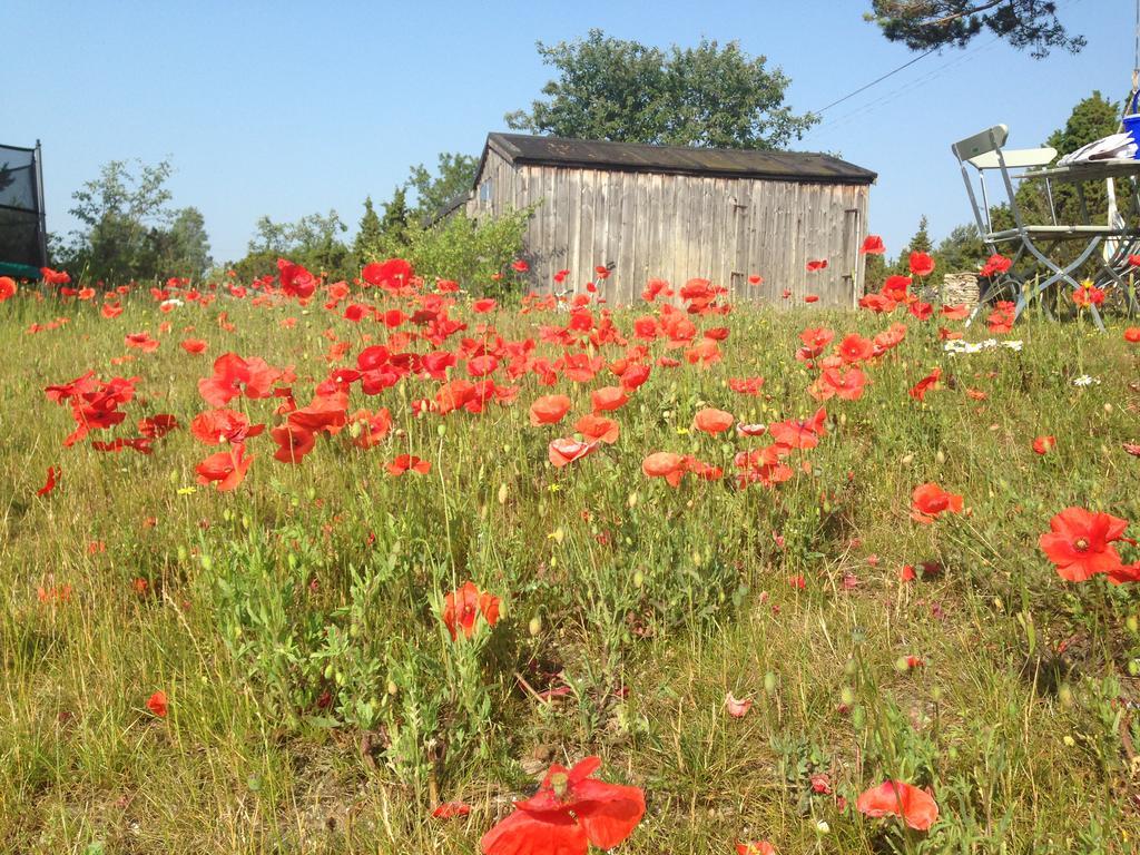 Farogarden Bed & Breakfast 외부 사진